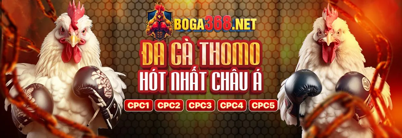 Tối ưu hóa trải nghiệm cá cược với 123win 99ok