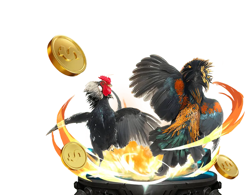 Công bằng và trách nhiệm 123win